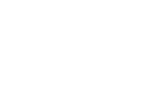 VeBio